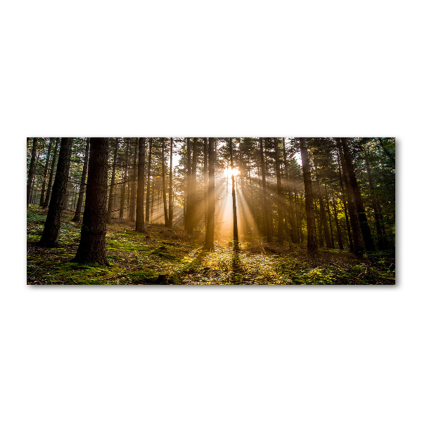 Foto plexiglas Zonlicht