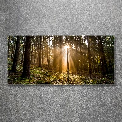 Foto plexiglas Zonlicht