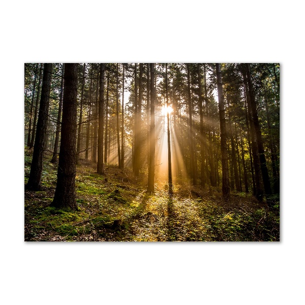 Foto plexiglas Zonlicht