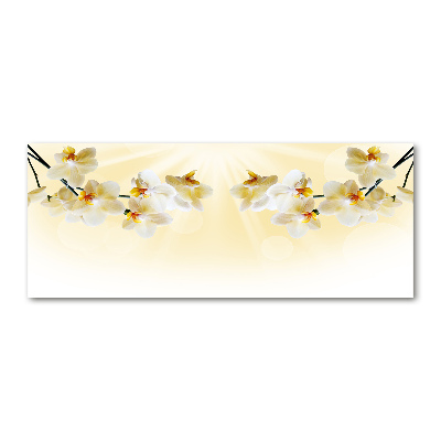 Foto in plexiglas Orchidee