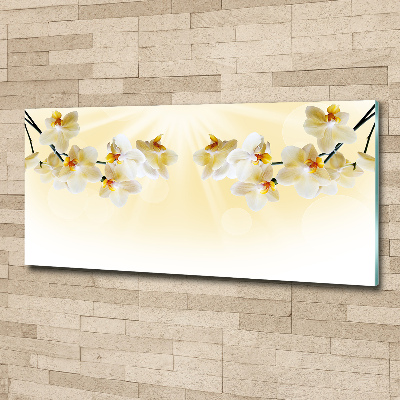 Foto in plexiglas Orchidee