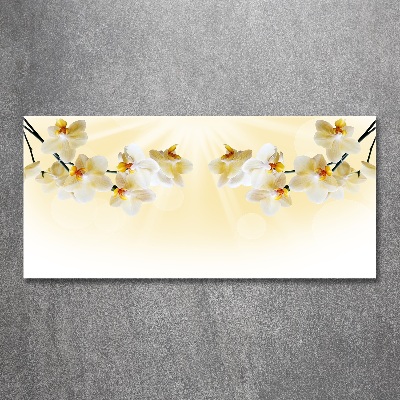 Foto in plexiglas Orchidee