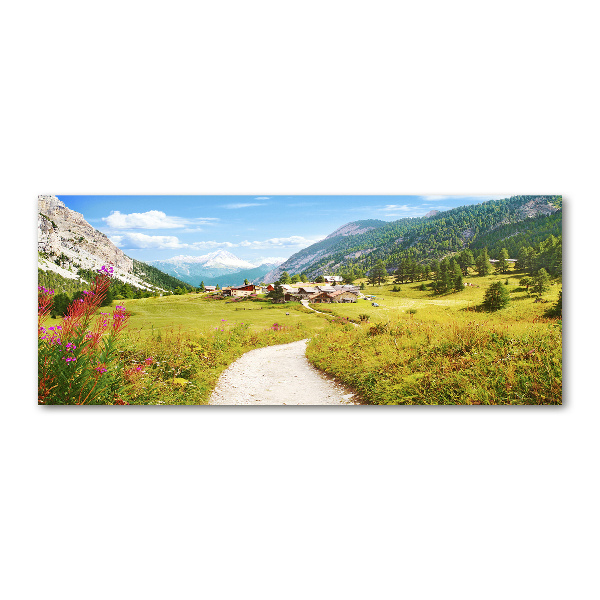 Plexiglas schilderij Weide in de Alpen