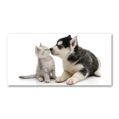 Plexiglas foto Hond en kat