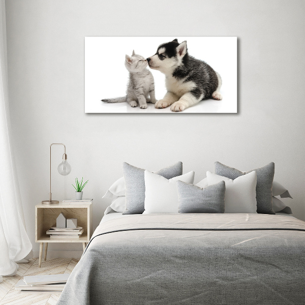 Plexiglas foto Hond en kat