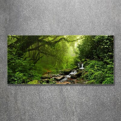 Schilderij op acrylglas Oerwoud in Nepal