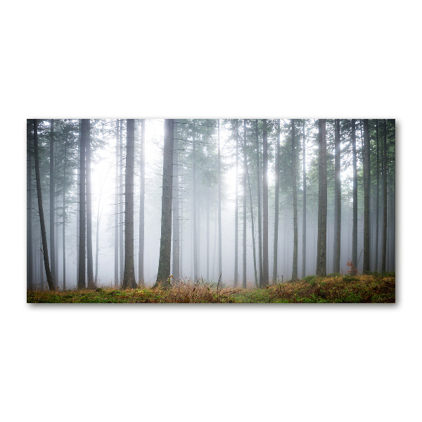 Plexiglas schilderij Mist in het bos