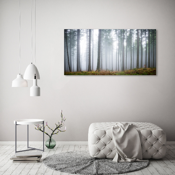 Plexiglas schilderij Mist in het bos