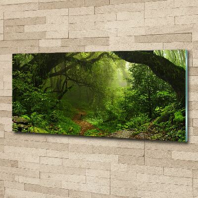 Foto plexiglas Oerwoud in Nepal
