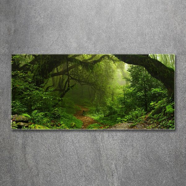 Foto plexiglas Oerwoud in Nepal