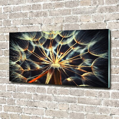 Foto op plexiglas Paardenbloemen