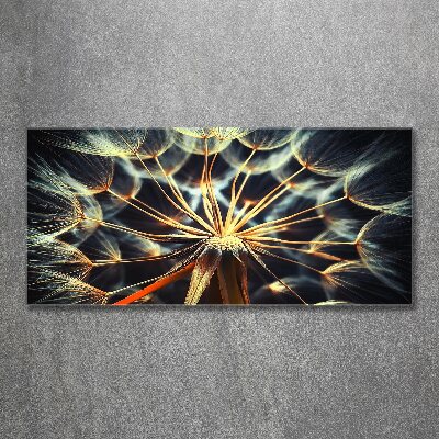 Foto op plexiglas Paardenbloemen