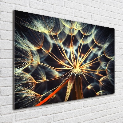 Foto op plexiglas Paardenbloemen