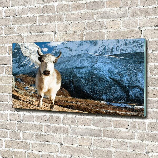 Foto plexiglas Zoals bergen