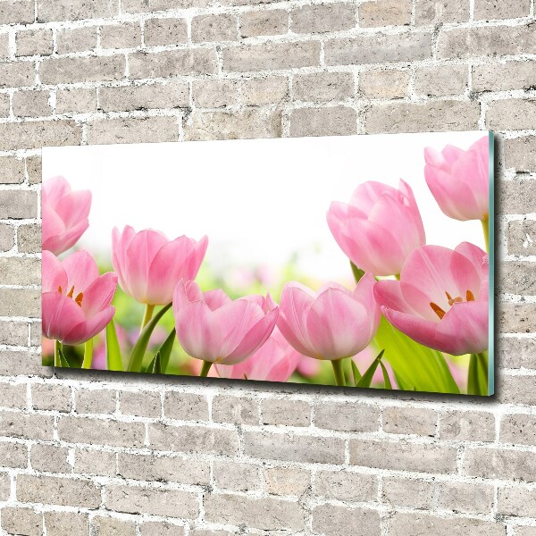 Schilderij op acrylglas Roze tulpen