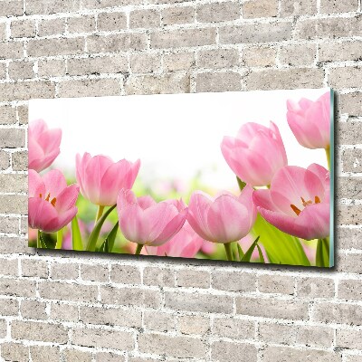 Schilderij op acrylglas Roze tulpen