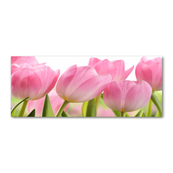 Plexiglas schilderij Roze tulpen