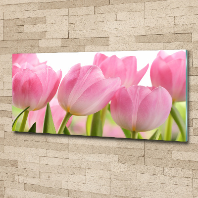 Plexiglas schilderij Roze tulpen
