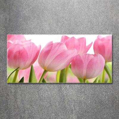 Plexiglas schilderij Roze tulpen