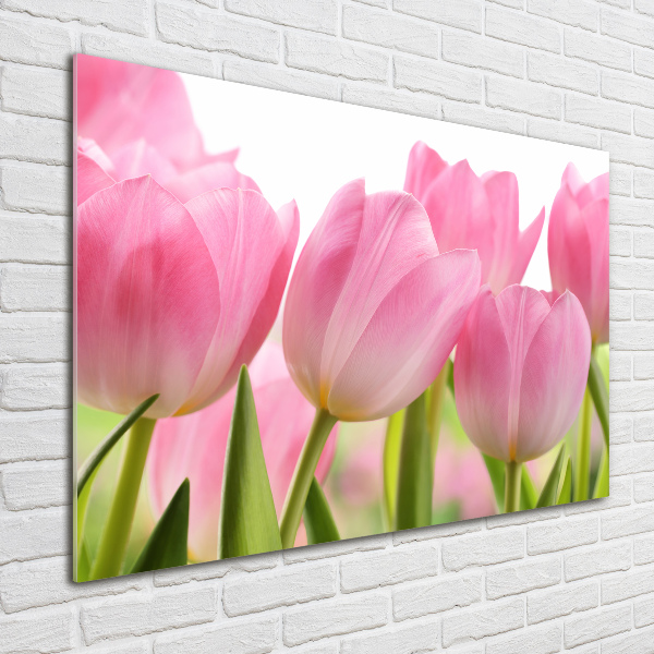 Plexiglas schilderij Roze tulpen