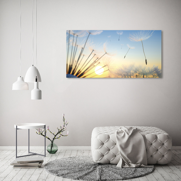 Schilderij op acrylglas Paardenbloemzaden