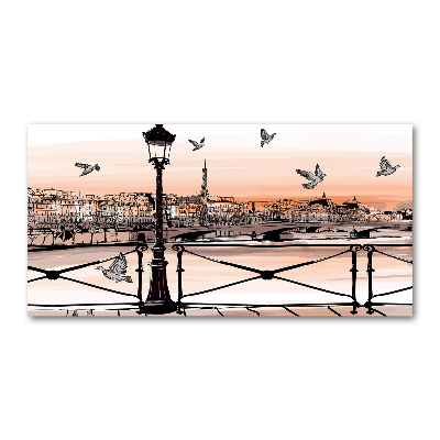 Plexiglas schilderij Schemering in Parijs