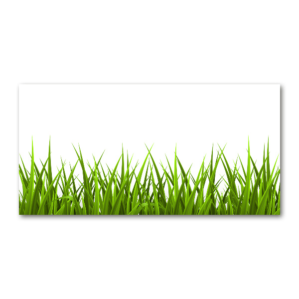 Foto op plexiglas Gras