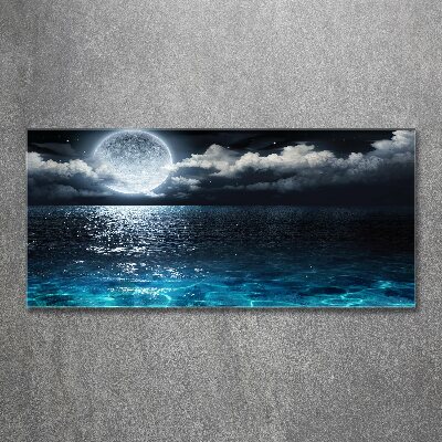 Foto plexiglas Volle maan