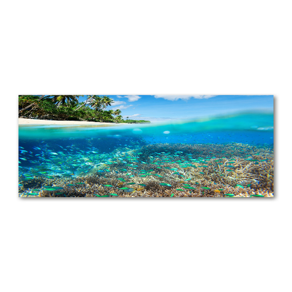 Foto op plexiglas Koraalrif