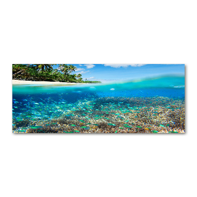 Foto op plexiglas Koraalrif