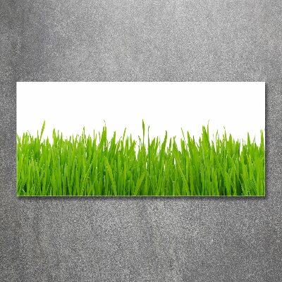 Foto plexiglas Gras