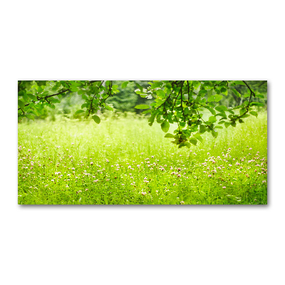 Foto plexiglas Groene weide