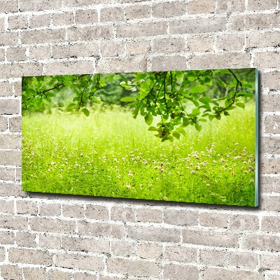 Foto plexiglas Groene weide