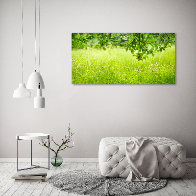 Foto plexiglas Groene weide