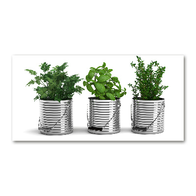 Plexiglas foto Aromatische planten