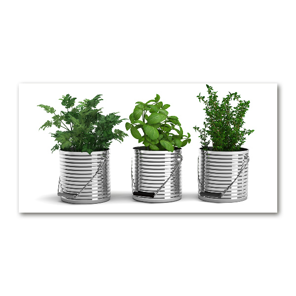 Plexiglas foto Aromatische planten