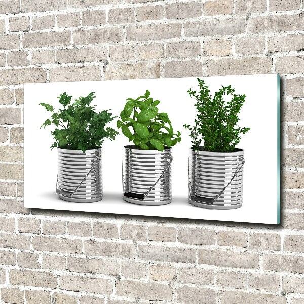 Plexiglas foto Aromatische planten