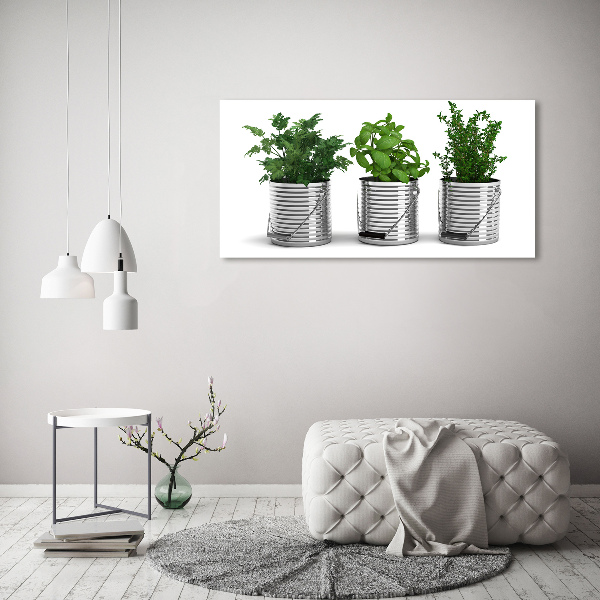 Plexiglas foto Aromatische planten