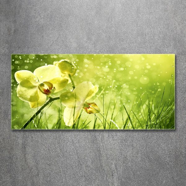 Plexiglas schilderij Orchidee