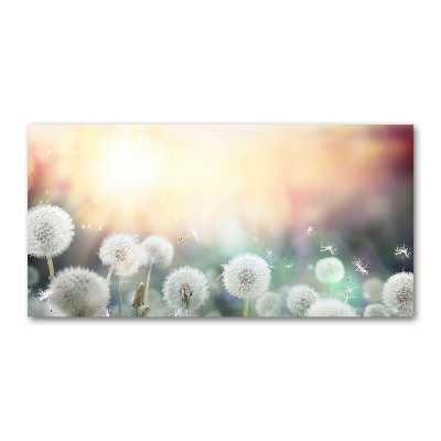 Plexiglas foto Paardenbloemenveld