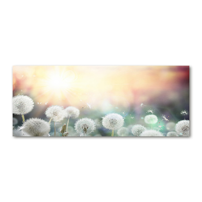 Plexiglas foto Paardenbloemenveld