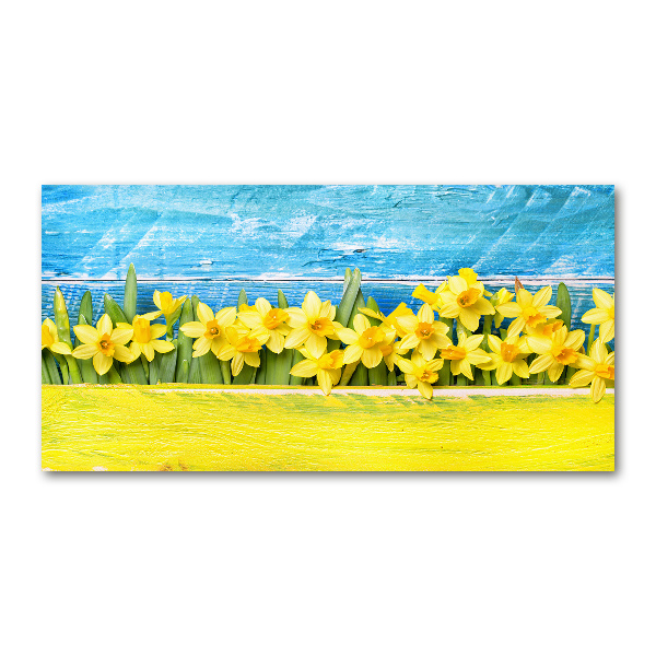 Foto plexiglas Narcissen