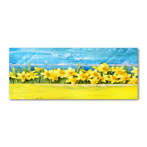 Foto plexiglas Narcissen