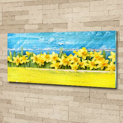 Foto plexiglas Narcissen