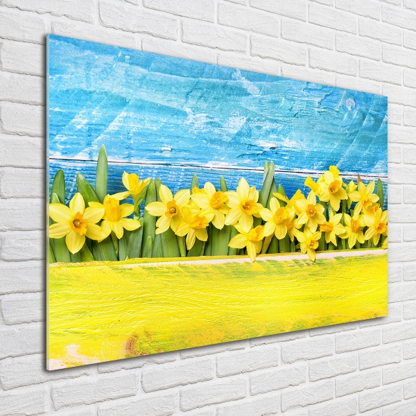 Foto plexiglas Narcissen