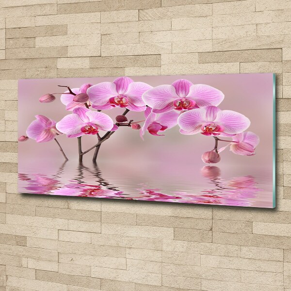 Foto in plexiglas Roze orchidee