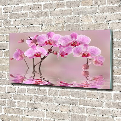 Foto in plexiglas Roze orchidee