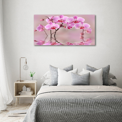 Foto in plexiglas Roze orchidee