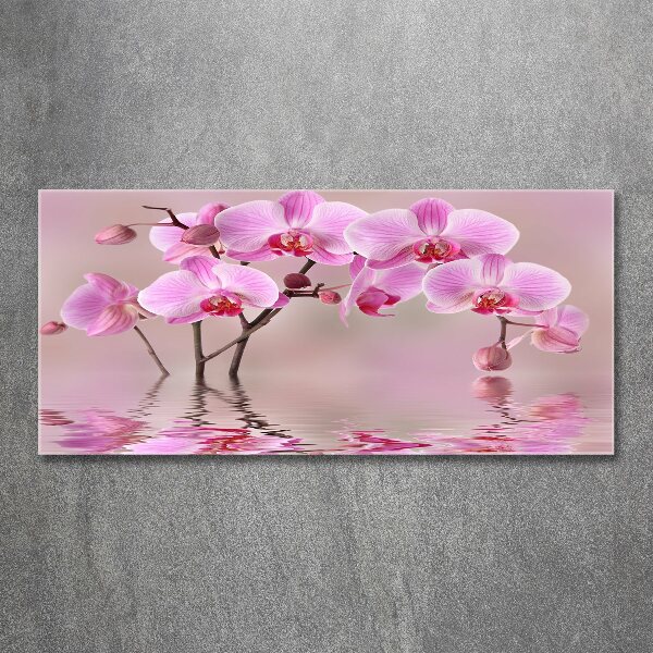 Foto in plexiglas Roze orchidee