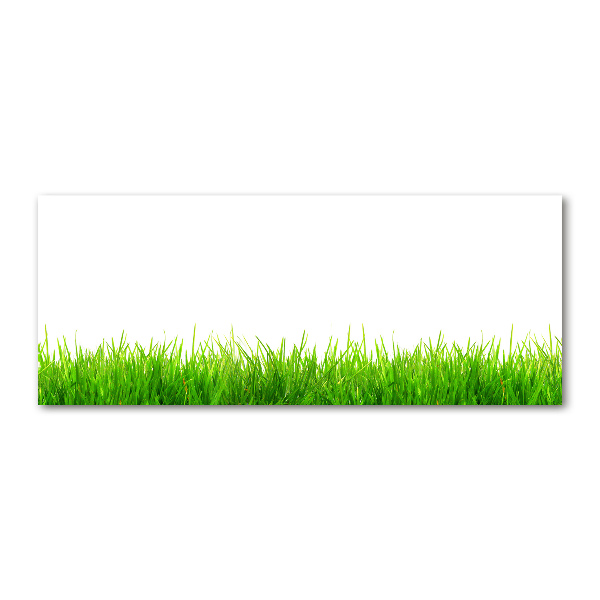 Foto op plexiglas Gras